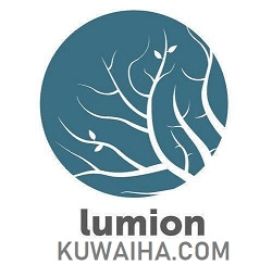 Lumion Pro 2025 Full Terbaru– Render Cepat & Realistis